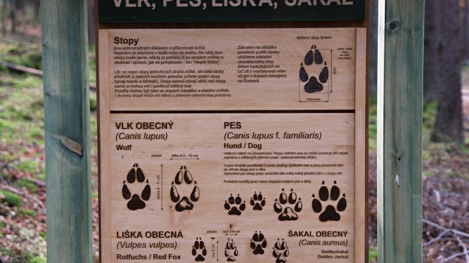 Návštěvnické centrum Vlci přináší mnoho informací o těchto šelmách