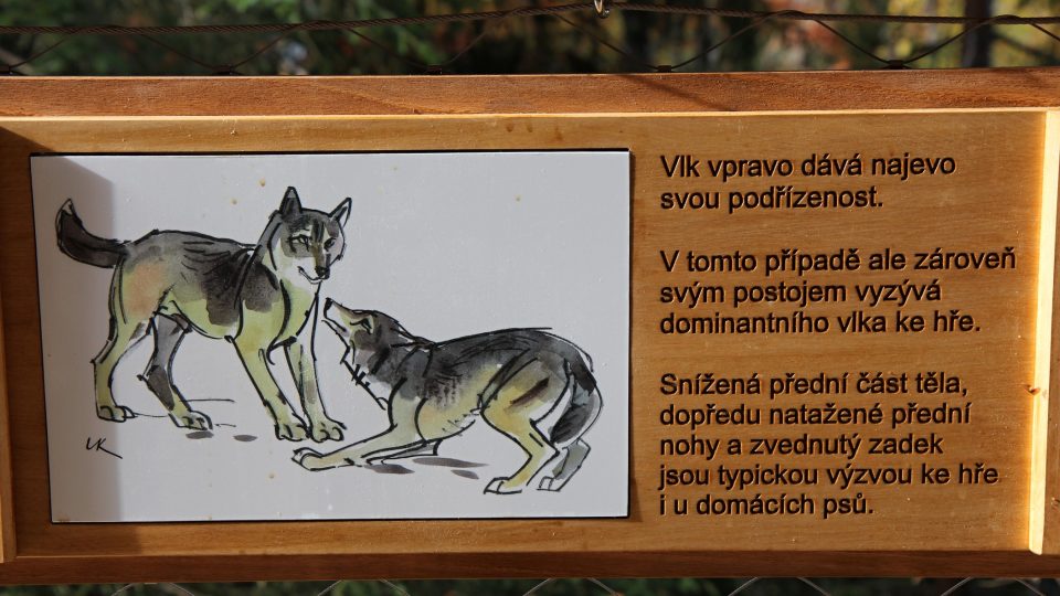 Návštěvnické centrum Vlci přináší mnoho informací o těchto šelmách