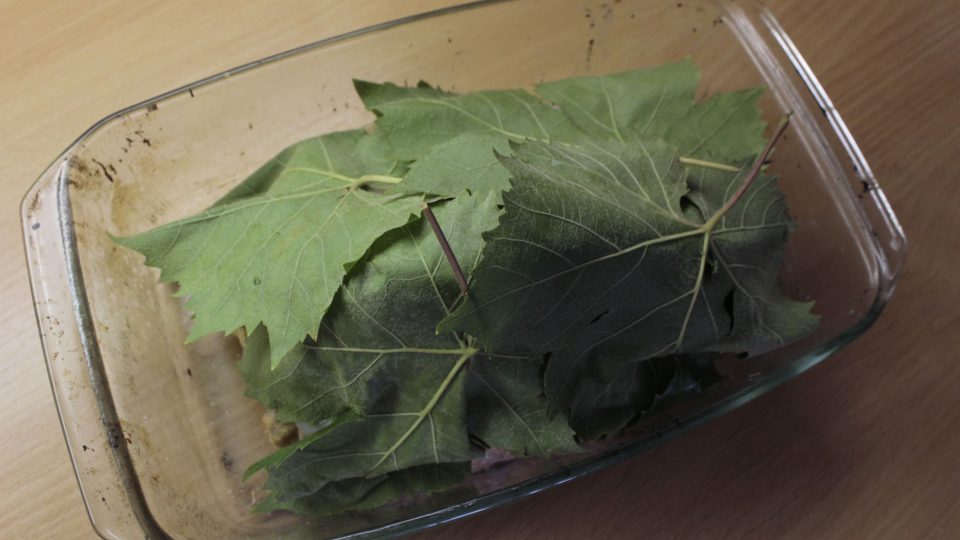 Perličku pečeme přikrytou plátky slaniny a vinnými listy v rozehřáté troubě na 180 stupňů po dobu 40 až 50 minut | foto: Honza Chlaň, Český rozhlas Perličku pečeme přikrytou plátky slaniny a vinnými listy v rozehřáté troubě na 180 stupňů po dobu 40 až 50 minut