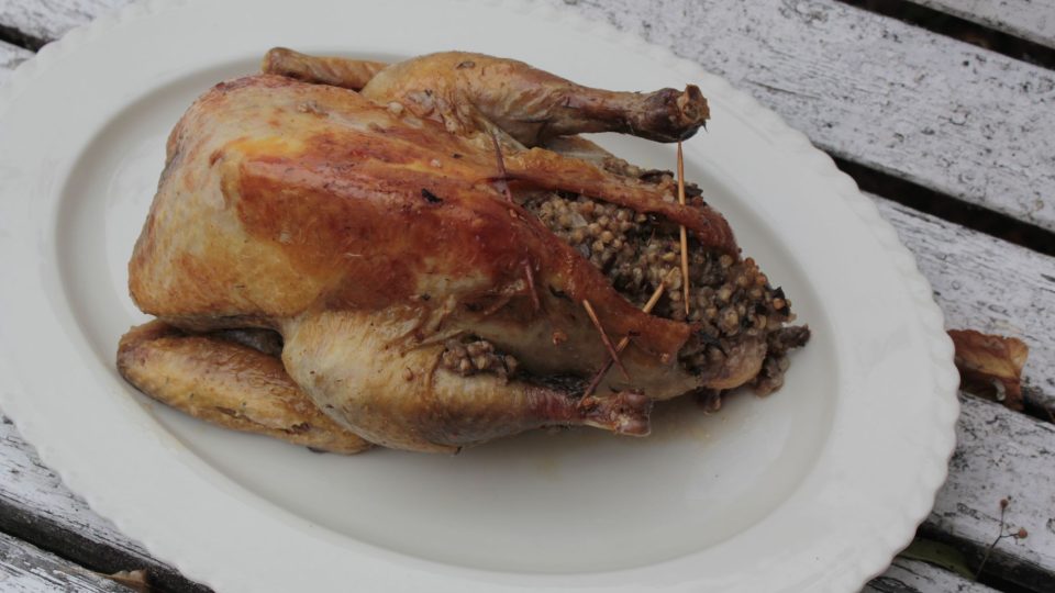 Perlička s pohankovou nádivkou | foto: Honza Chlaň, Český rozhlas Perlička s pohankovou nádivkou