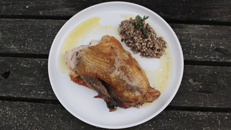 Perlička s pohankovou nádivkou | foto: Honza Chlaň, Český rozhlas Perlička s pohankovou nádivkou