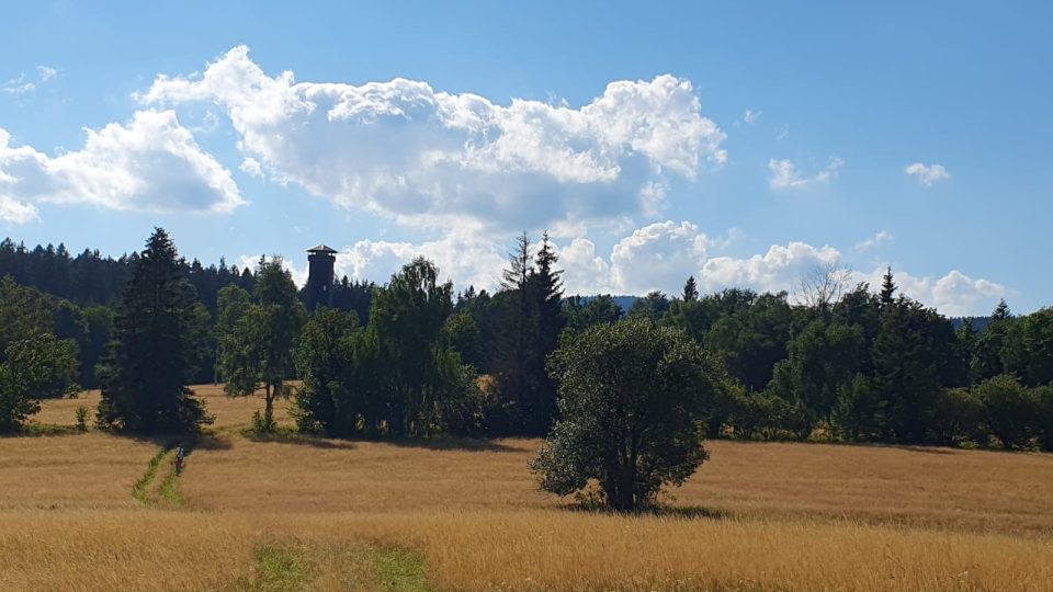 Z rozhledny je možné obhlédnout vrcholy Jeseníků a také město Bruntál