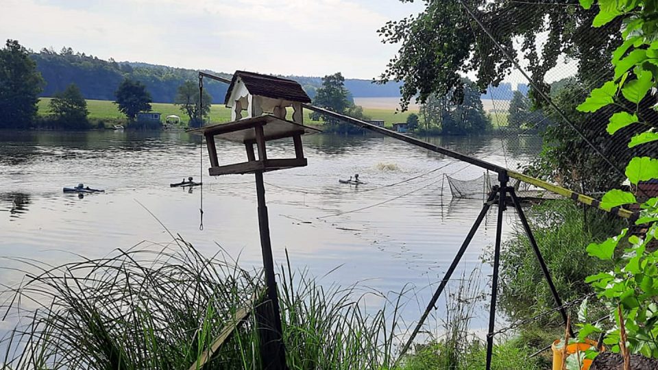 Rybník v Letinech na jižním Plzeňsku