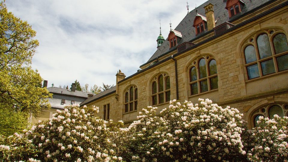 Rododendrony z muzejním parku