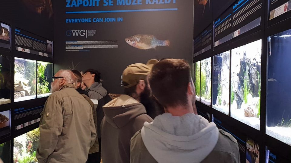Expozice Rybí archa v Zoo Plzeň