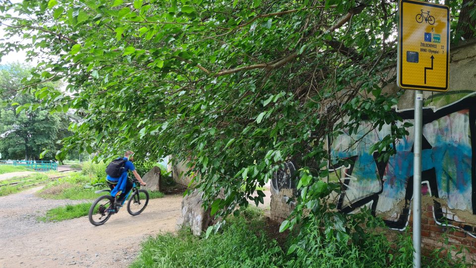 Greenway Krakov-Morava-Vídeň vede v Brně podél řeky Svitavy kousek od Cejlu