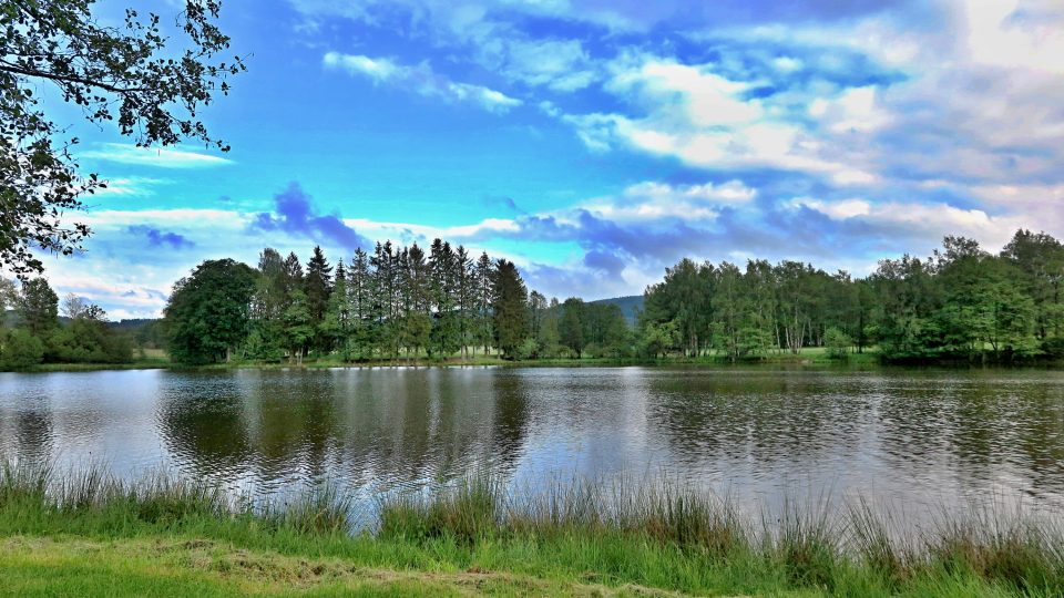 Součástí obory jsou i vodní plochy - zmiňovaný Železenský rybník o výměře 8,6 hektarů, oborou protéká také Železenský potok