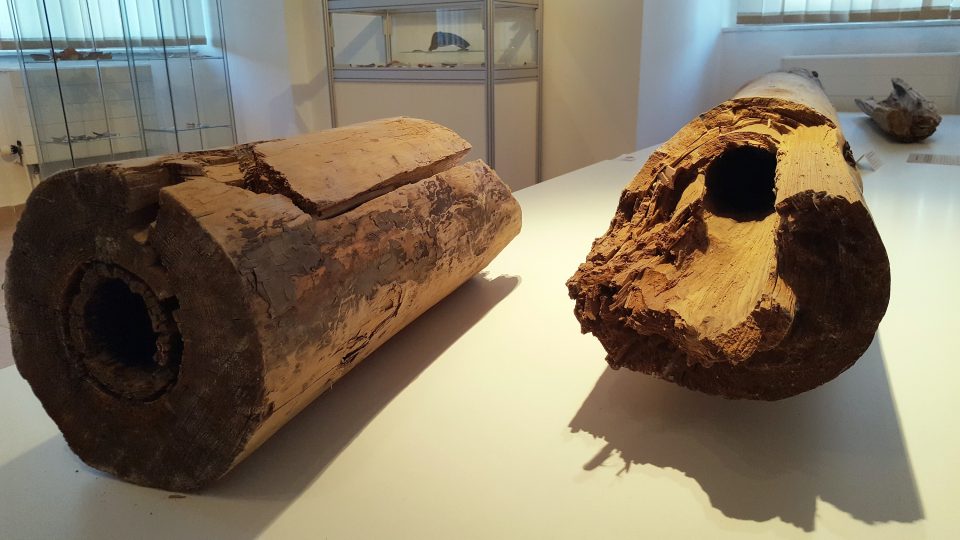 Relikty byly objeveny v roce 2011 během výkopových prací