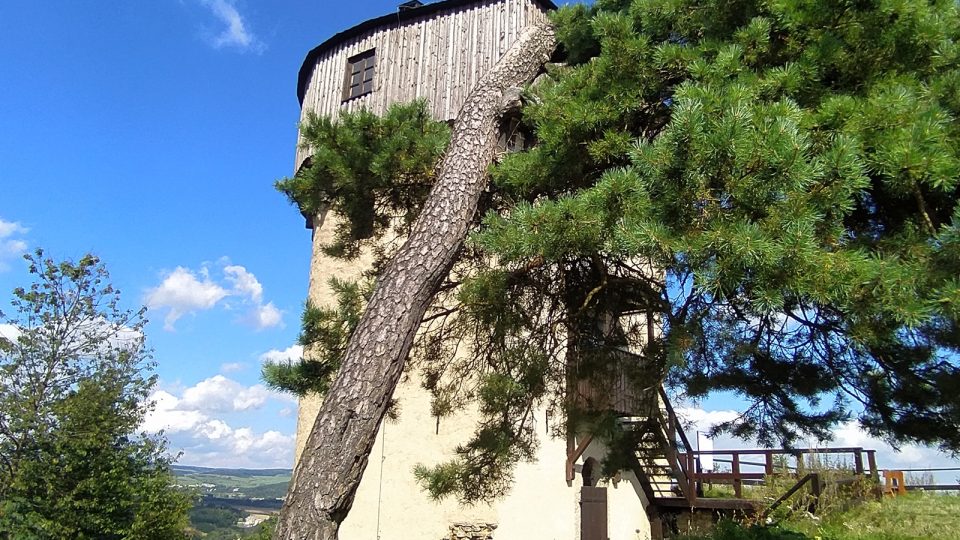 Karlovarská věž