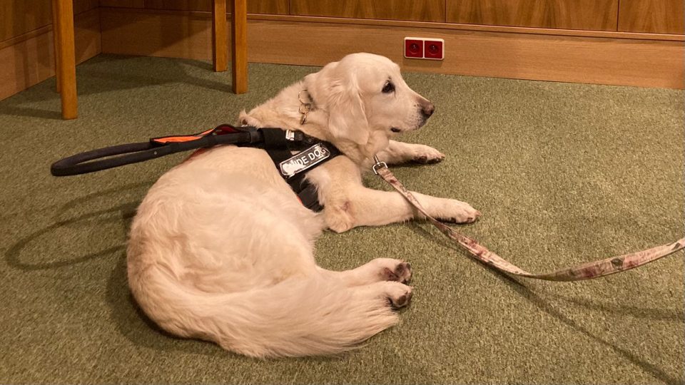 Bianca | foto: Michaela Vondráčková, Český rozhlas Bianca