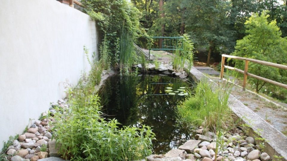 Vodní zahrada pod hrází Velkého Boleveckého rybníka