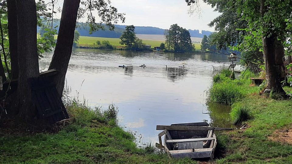 Rybník v Letinech na jižním Plzeňsku