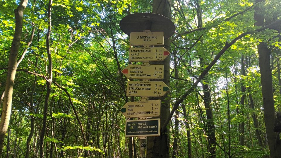 Od Kazatelny se můžete vydat ke zřícenině Cimburku nebo na hrad Buchlov.jpg | foto: Silvie Pospíšilová, Český rozhlas Od Kazatelny se můžete vydat ke zřícenině Cimburku nebo na hrad Buchlov.jpg