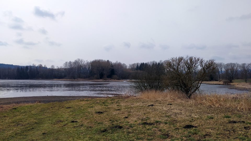 Rybník Obžera nedaleko Rožmitálu pod Třemšínem