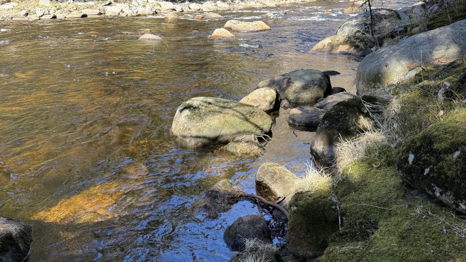 Otava | foto: Jan Dvořák Otava