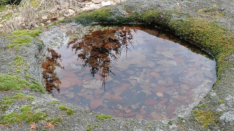 Šelmberk v Českém lese