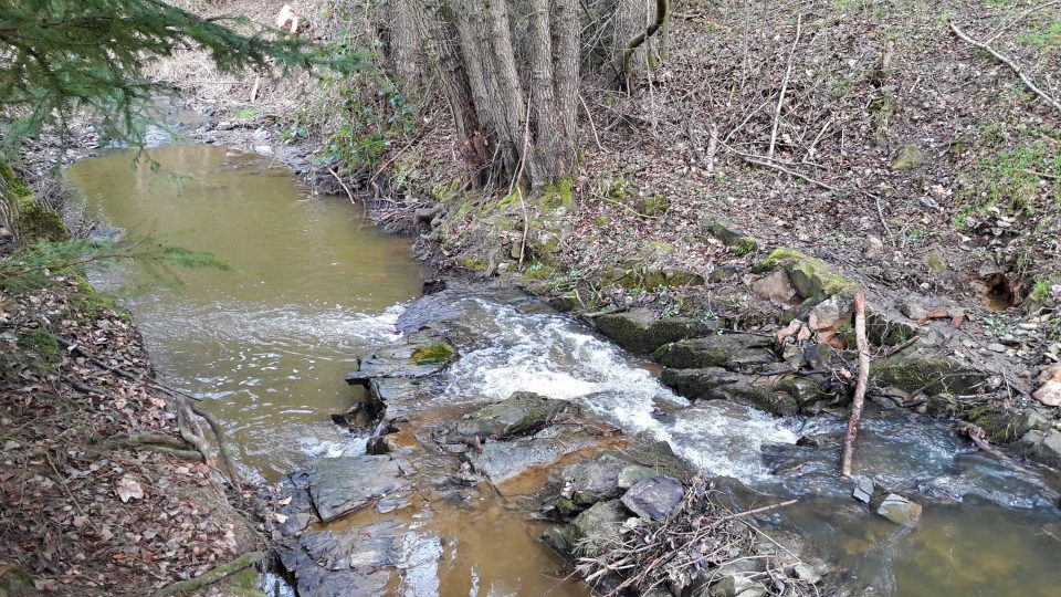 Podle Miloně Kučery ze závodu Berounka v Plzni je zhruba 70 procent Srbického potoka bezzásahová