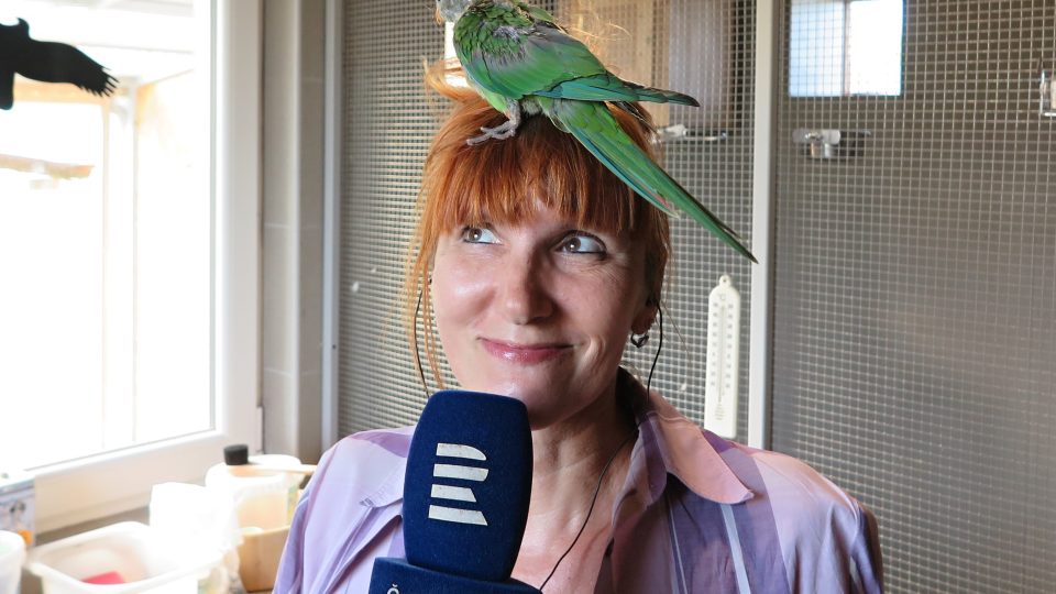 Michaela Záhořová si plní dětské sny. Rozhodla se chovat exotické ptactvo a dnes už má téměř 30 kusů