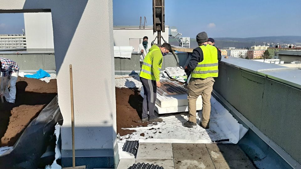 Už několik měsíců vzniká první zelená střecha v České republice