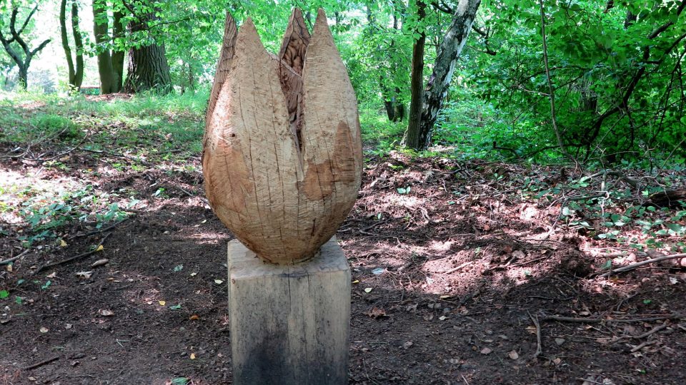 Upravené cesty nově lemují dřevěné sochy. Ty znázorňují plody stromů, šišky, semena a ořechy
