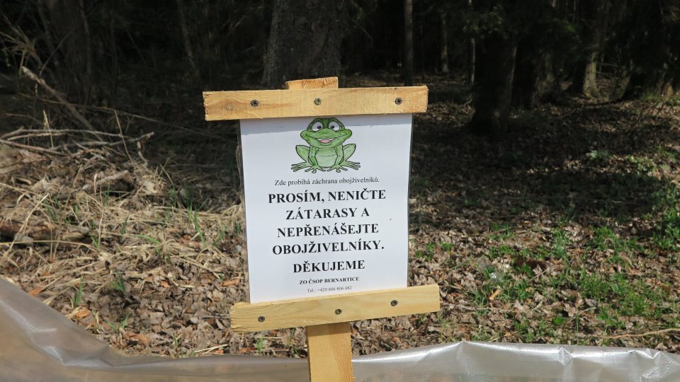 U Václavského rybníka nedaleko Rozvadova vyrostlo 700 metrů zábran, které brání obojživelníkům přecházet silnici z lesa k rybníku