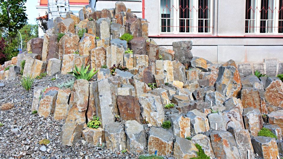 Rozšířená čedičová skalka vévodí zahradě gymnázia na Mikulášském náměstí v Plzni