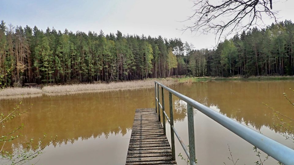 Jánský les najdete mezi Sulislaví, Sytnem a Stříbrem. Nedaleko je také rybník, který se rovněž jmenuje Jánský, ale mezi domácími se mu říká Křivý
