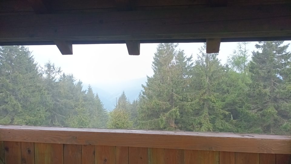 Výhledu na slovenskou stranu brání vzrostlé stromy | foto: Silvie Pospíšilová, Český rozhlas Výhledu na slovenskou stranu brání vzrostlé stromy