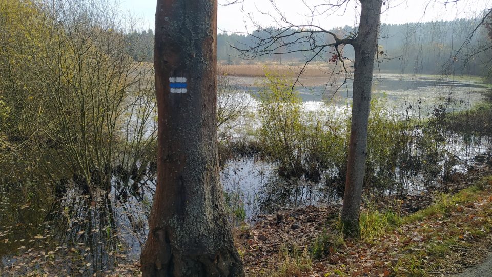 Horní kokotský rybník najdete hned u silnice