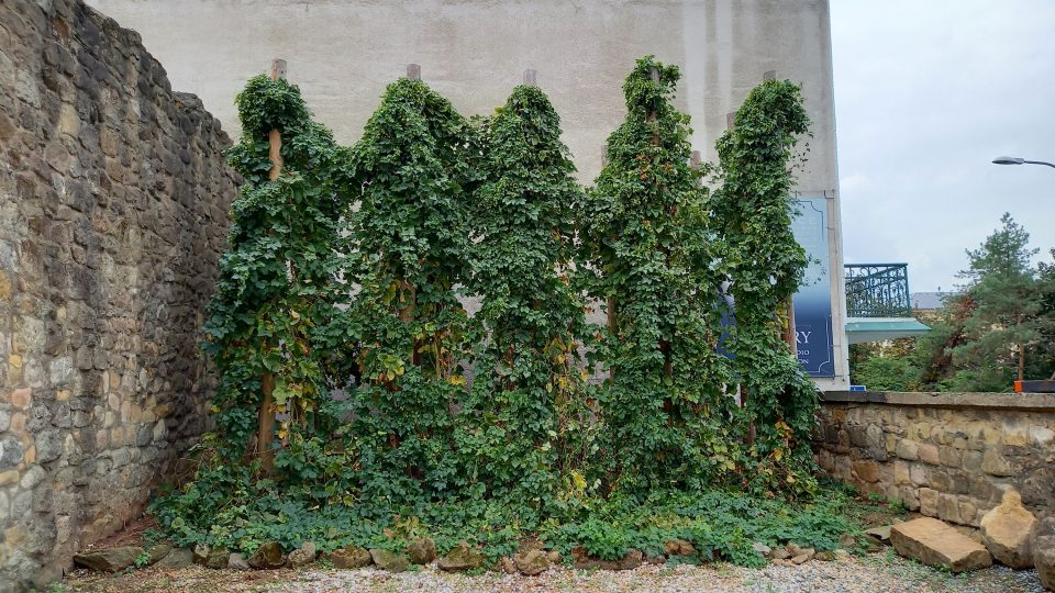 Pivovarské muzeum v Plzni