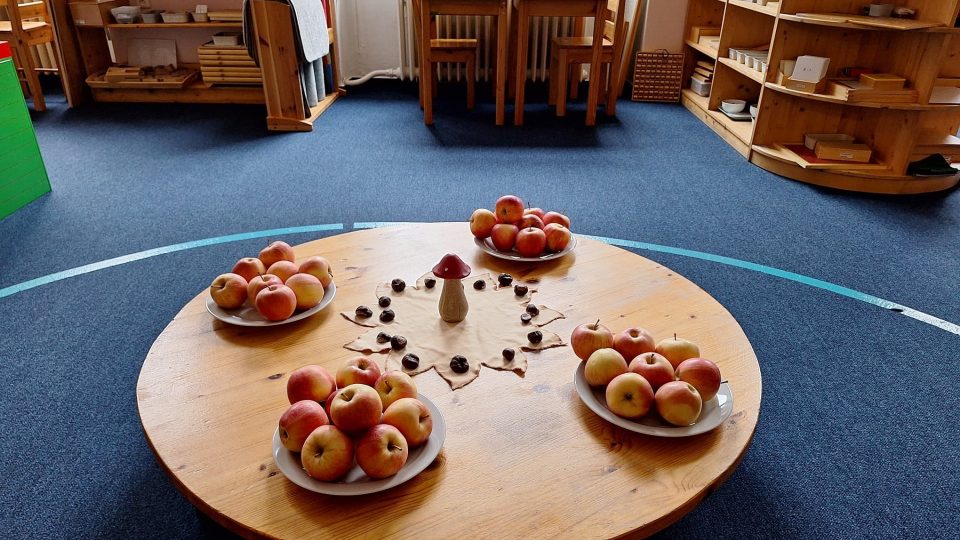 Soukromá Základní a mateřská škola Montessori Plzeň