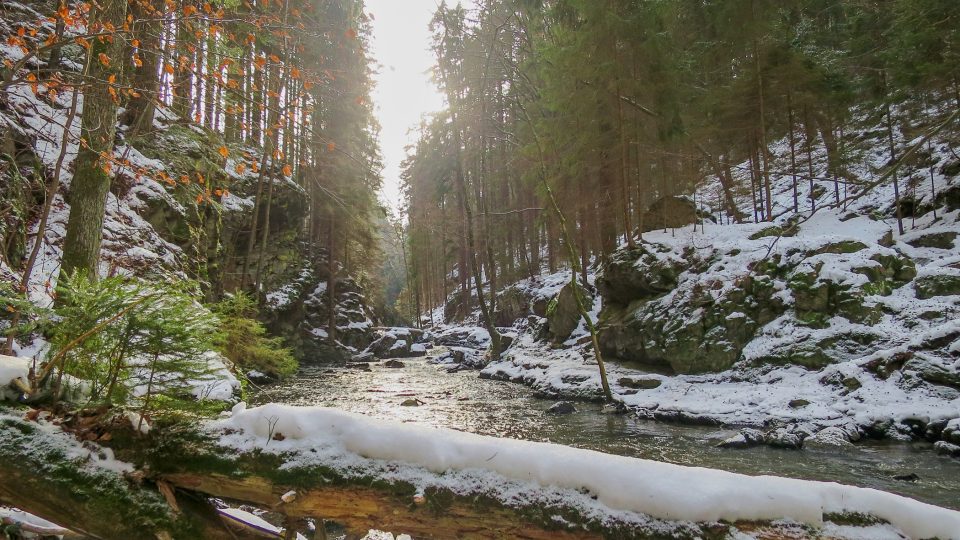 Divoké údolí řeky Doubravy