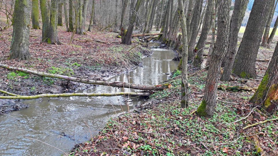 Na třiceti procentech Srbického potoka se nezpevňuje dno, pouze se zabezpečuje svah, aby nedocházelo k výmolům, uvedl ředitel závodu Berounka v Plzni Miloň Kučera