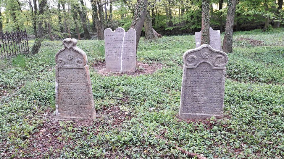 Popadané náhrobky, zasypané hlínou a zarostlé břečťanem. Tak ještě před pár týdny vypadal židovský hřbitov v Terešově na Rokycansku. Díky dotaci se letos podařilo většinu náhrobních kamenů postavit a ukotvit