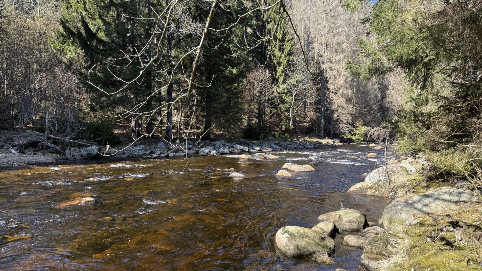 Otava | foto: Jan Dvořák Otava