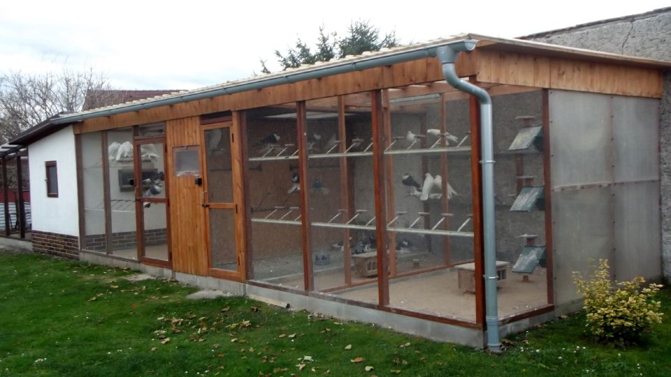 Voliéra zabrání sedání holubů na okolní střechy a jejich znečišťování