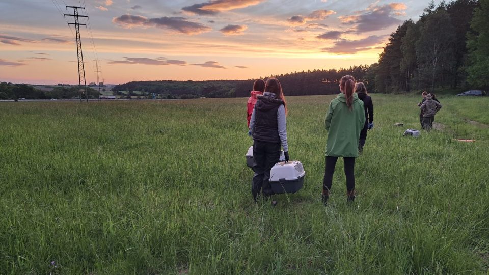 Dobrovolníci ze spolku Stop sečení srnčat Plzeňsko zachraňují mláďata