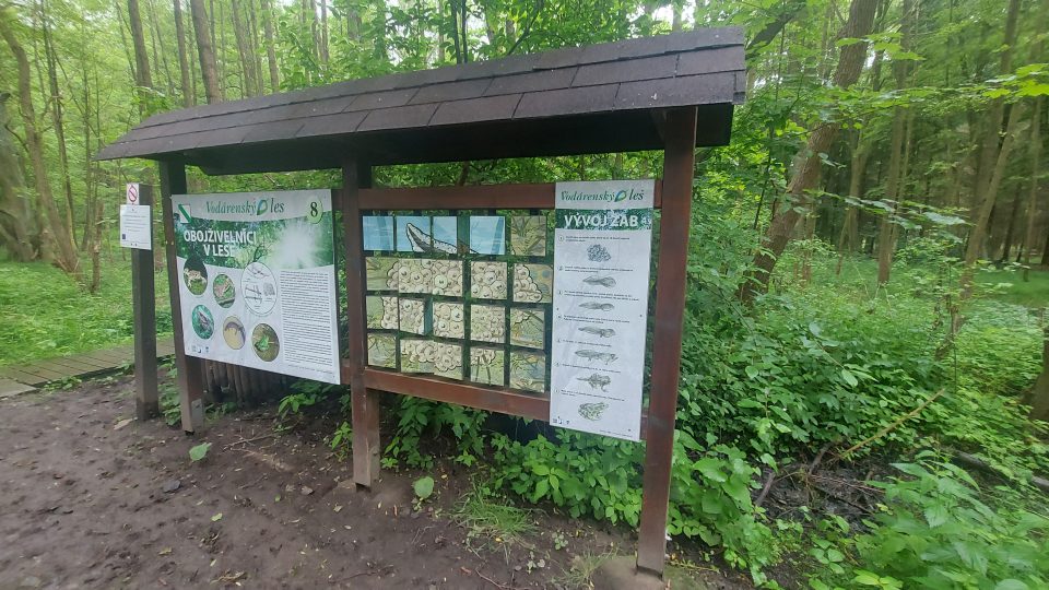 Infopanely ve Vodárenském lese jsou hravé i poučné | foto: Tereza Brázdová, Český rozhlas Infopanely ve Vodárenském lese jsou hravé i poučné