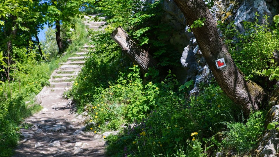 Cesta na hrad je náročnější. Odměnou jsou krásné výhledy i zajímavé poznatky o historii hradu | foto: Zdeněk Truhlář, Český rozhlas Cesta na hrad je náročnější. Odměnou jsou krásné výhledy i zajímavé poznatky o historii hradu