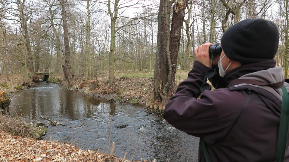 Zoologové na Tachovsku mapují výskyt skorce vodního