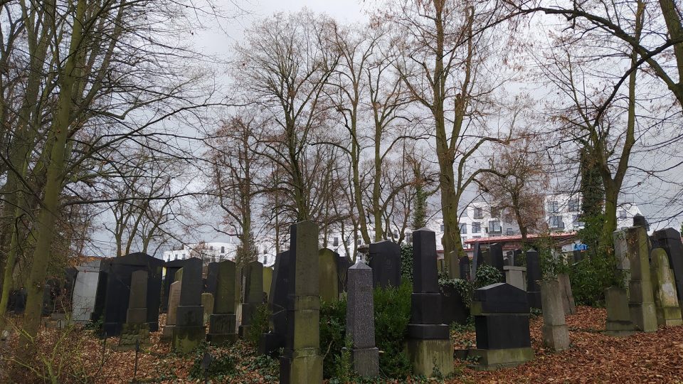 Nový židovský hřbitov v Plzni
