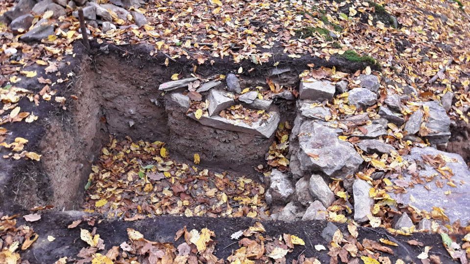 Archeologové z Národního památkového ústavu měli původně za to, že mezi stromy pod nánosy hlíny a listí jsou ukryty pohanské mohyly. Teď ale objevili středověkou vesnici z 13. století, ve které se lidé pravděpodobně živili železářstvím