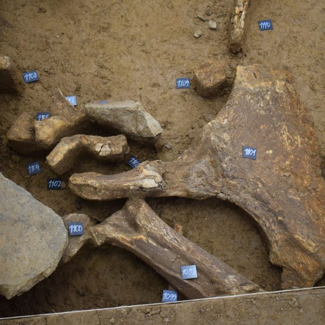 Výzkum tábořiště lovců mamutů v Ústí nad Labem na Bukově,  leden 2025 | foto: Frederik Velinský,  Český rozhlas Sever