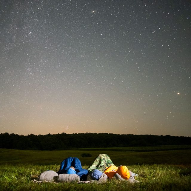 Ilustrační foto | foto: Shutterstock