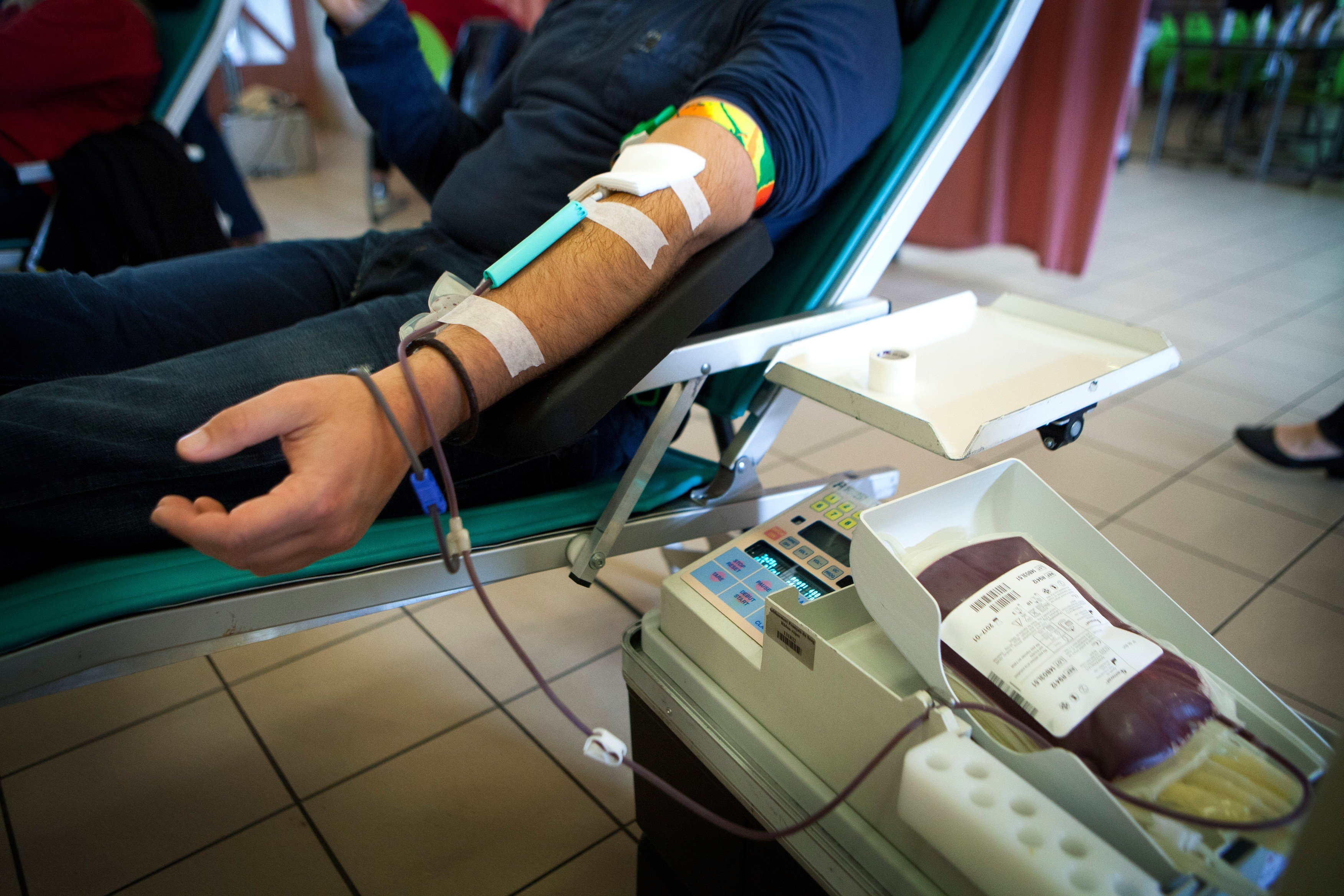Darování krve, dárcovství krve, odběr krve, transfuzní stanice (ilustrační foto)